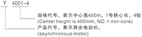 西安泰富西玛Y系列(H355-1000)高压YRKK6304-12/710KW三相异步电机型号说明